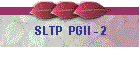 SLTP  PGII - 2